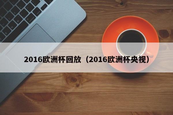 2016欧洲杯回放（2016欧洲杯央视）