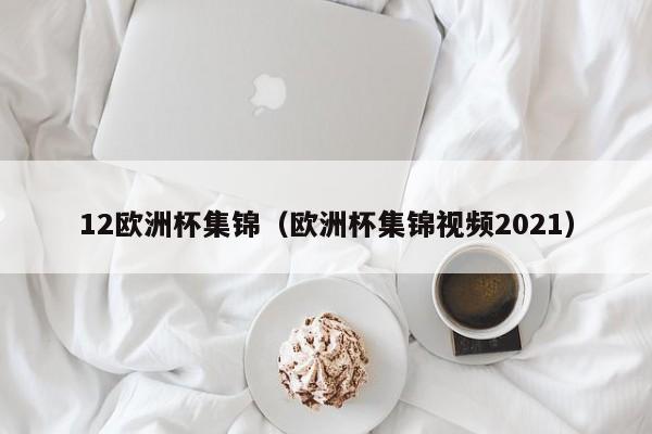 12欧洲杯集锦（欧洲杯集锦视频2021）