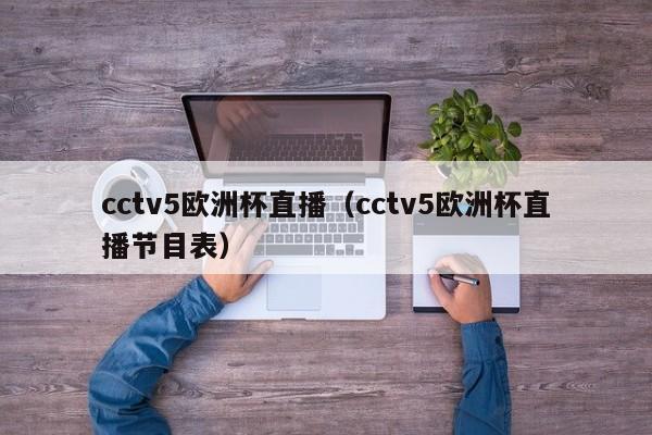 cctv5欧洲杯直播（cctv5欧洲杯直播节目表）