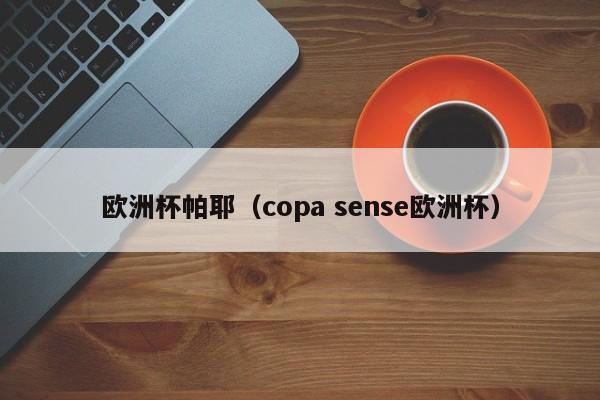 欧洲杯帕耶（copa sense欧洲杯）