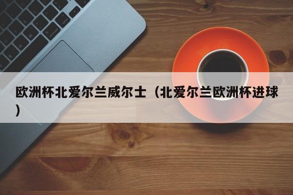 欧洲杯北爱尔兰威尔士（北爱尔兰欧洲杯进球）