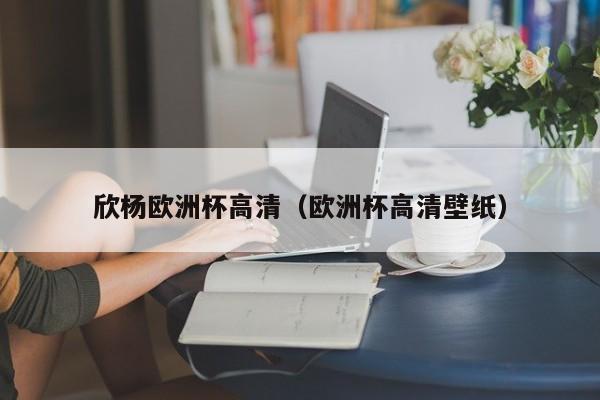 欣杨欧洲杯高清（欧洲杯高清壁纸）