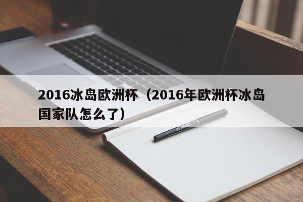 2016冰岛欧洲杯（2016年欧洲杯冰岛国家队怎么了）