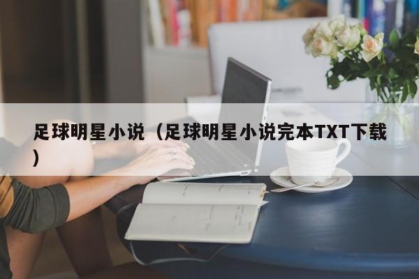 足球明星小说（足球明星小说完本TXT下载）