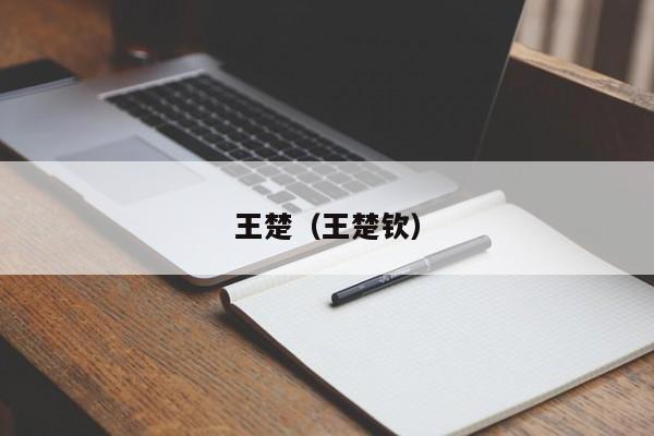 王楚（王楚钦）