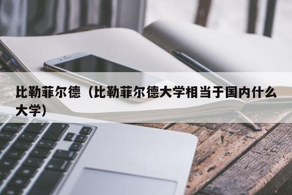 比勒菲尔德（比勒菲尔德大学相当于国内什么大学）