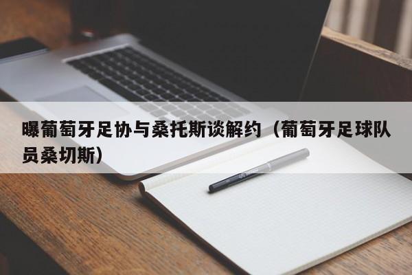 曝葡萄牙足协与桑托斯谈解约（葡萄牙足球队员桑切斯）