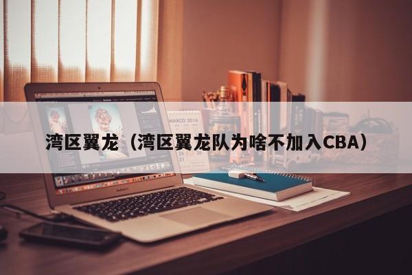 湾区翼龙（湾区翼龙队为啥不加入CBA）