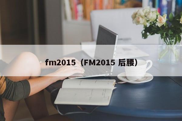 fm2015（FM2015 后腰）