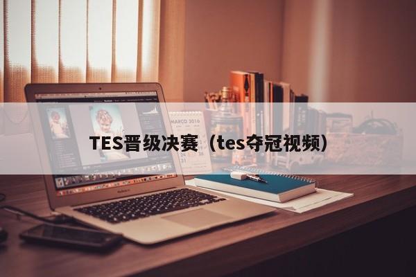 TES晋级决赛（tes夺冠视频）