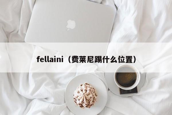 fellaini（费莱尼踢什么位置）