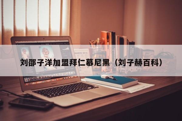 刘邵子洋加盟拜仁慕尼黑（刘子赫百科）